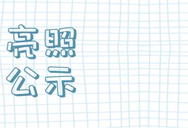 亮照公示